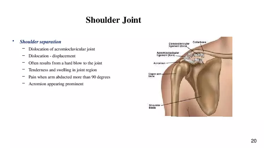 Chapter 9 Articulations - Page 15