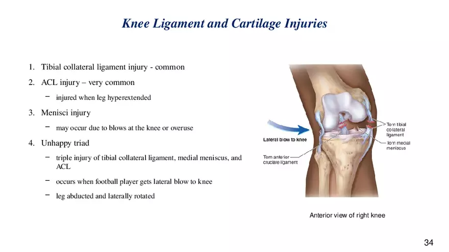 Chapter 9 Articulations - Page 30