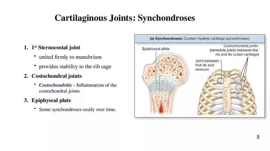 Chapter 9 Articulations - Page 36