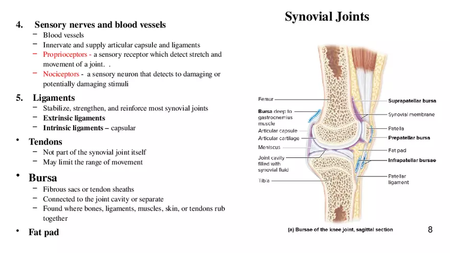 Chapter 9 Articulations - Page 39