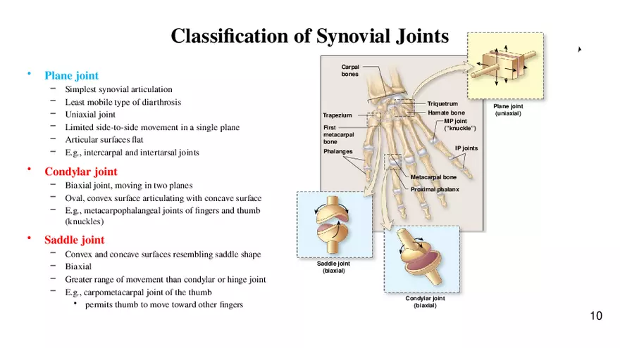 Chapter 9 Articulations - Page 4