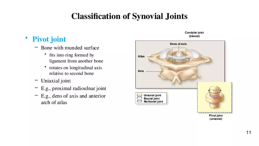 Chapter 9 Articulations - Page 5