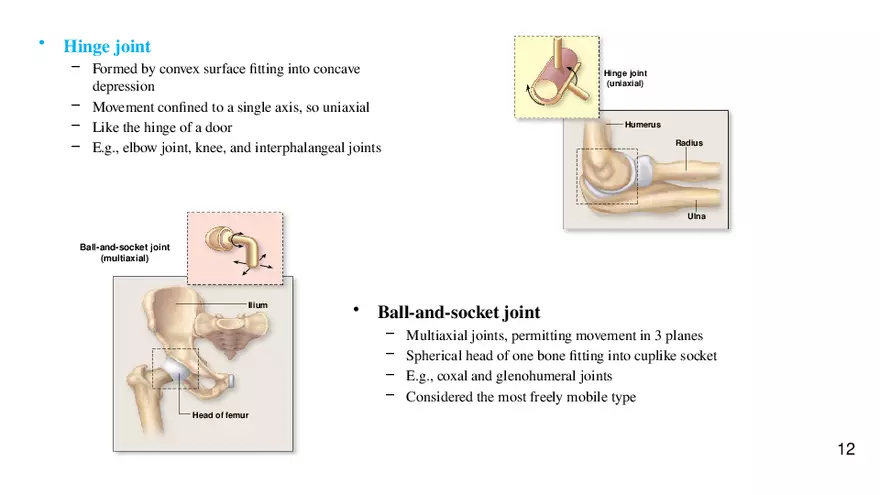 Chapter 9 Articulations - Page 6
