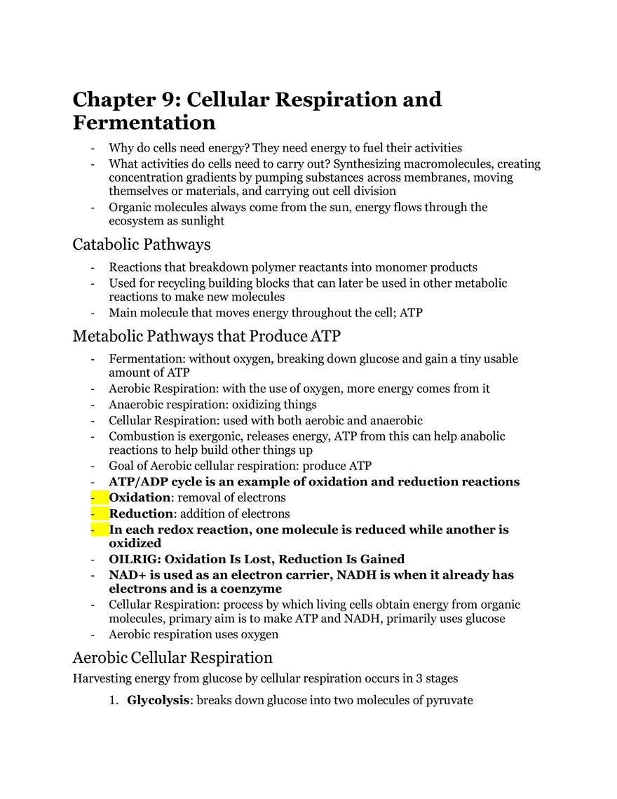 Chapter 9 Cellular Respiration and Fermentation - Page 1