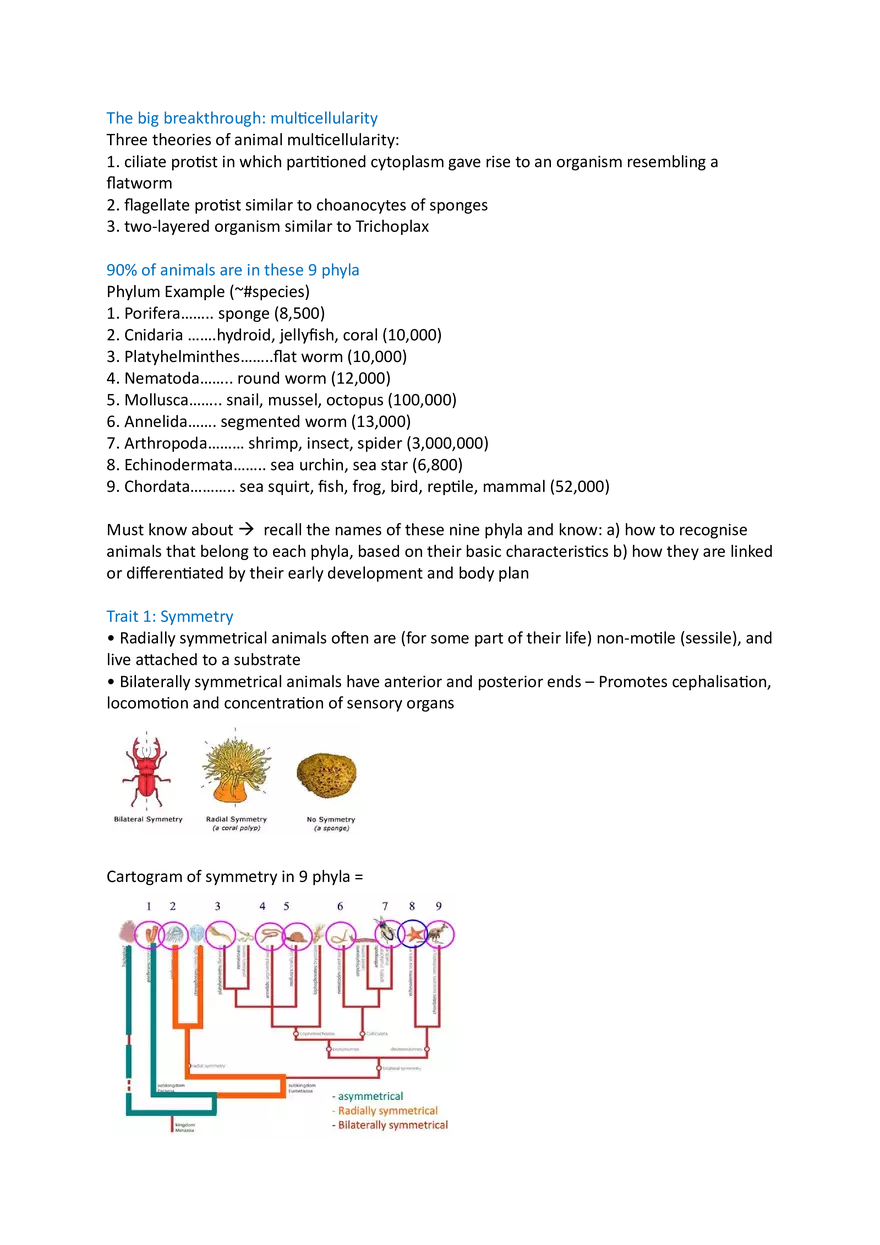 Lecture 1 The Advent of Animals - Page 2