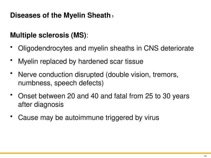 12.3 Supportive Cells - Page 7