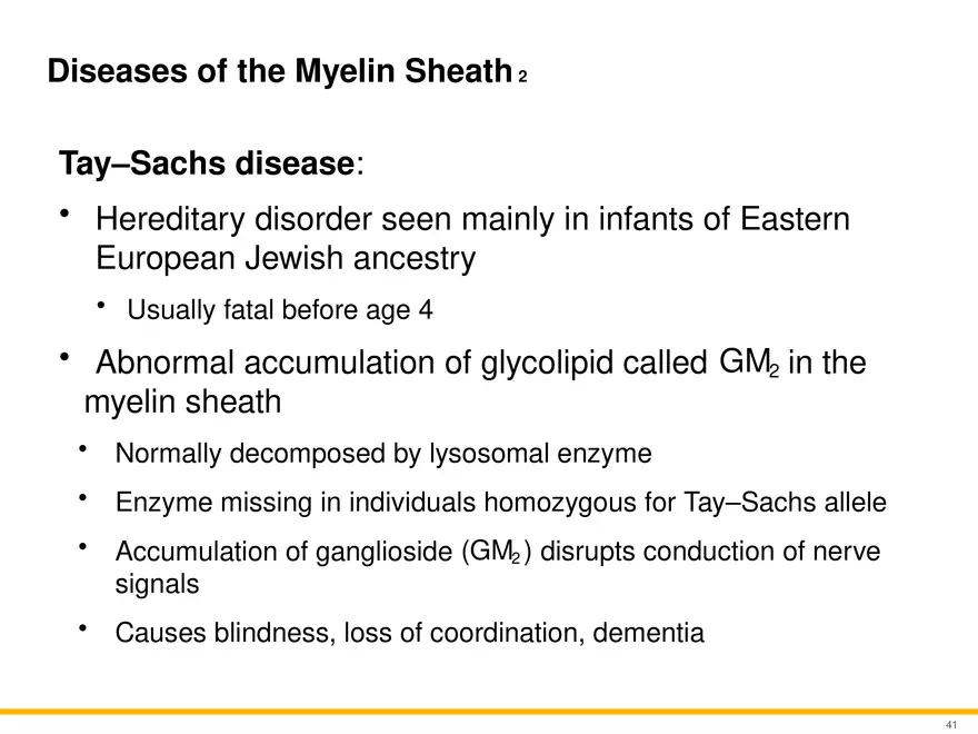 12.3 Supportive Cells - Page 8
