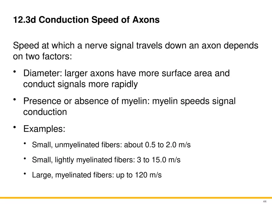 12.3 Supportive Cells - Page 11