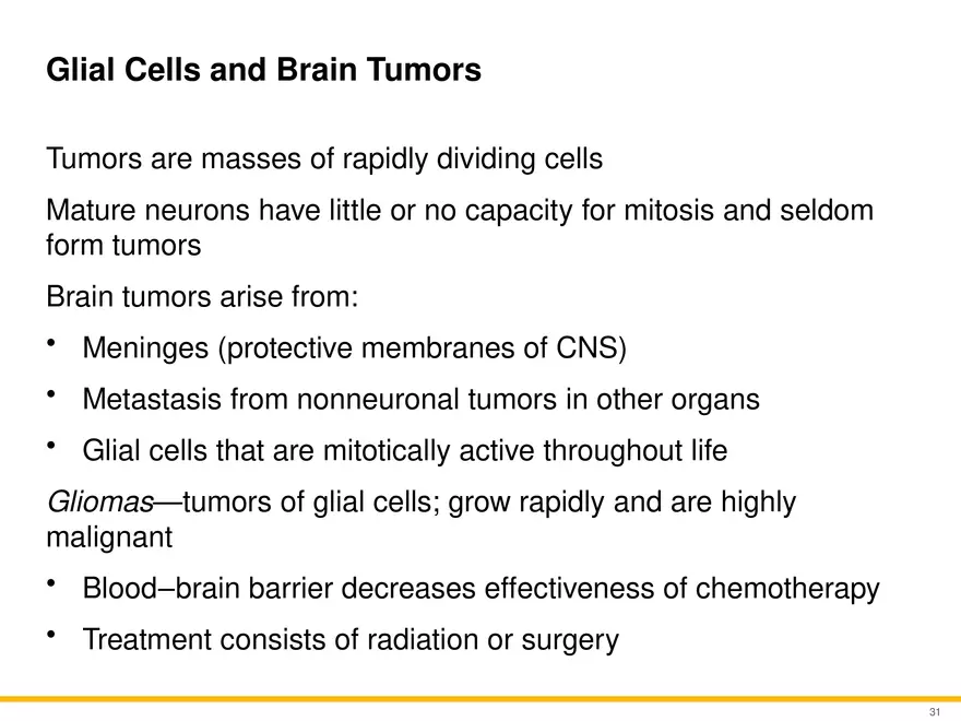 12.3 Supportive Cells - Page 20