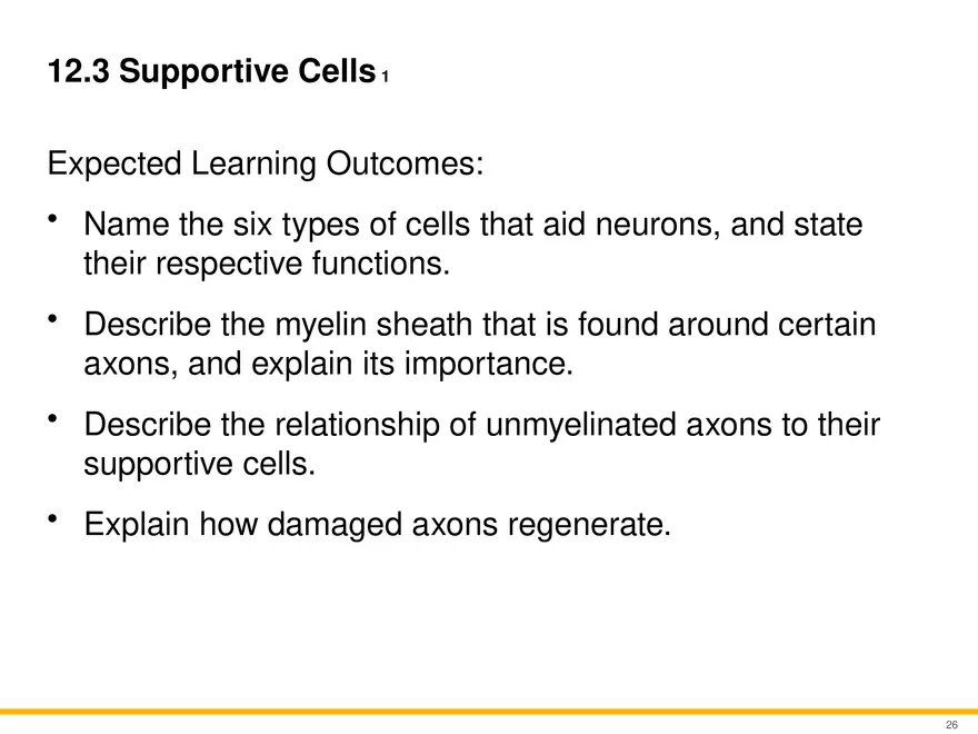 12.3 Supportive Cells - Page 1