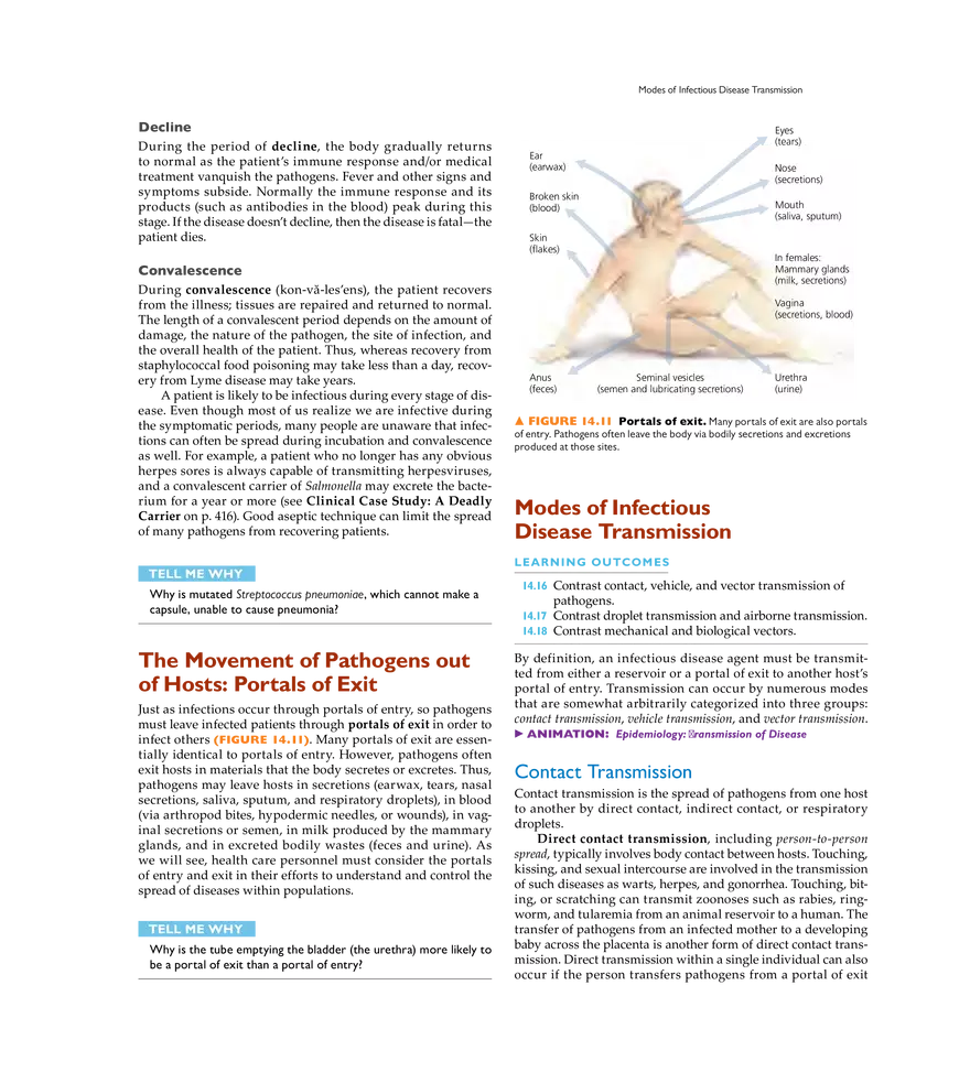 Infection, Infectious Disease, and Epidemiology - Page 9