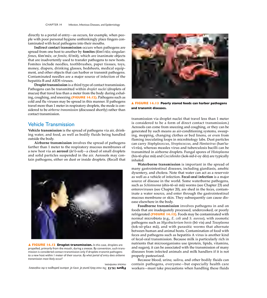 Infection, Infectious Disease, and Epidemiology - Page 10