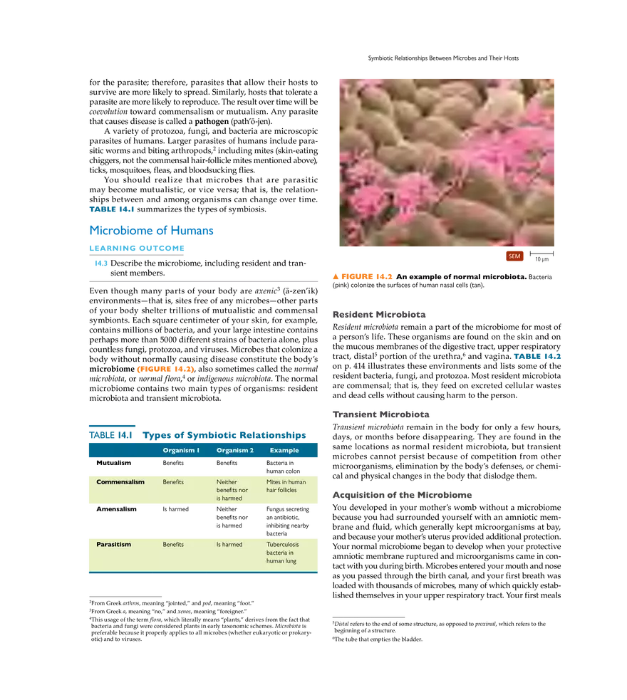 Infection, Infectious Disease, and Epidemiology - Page 13