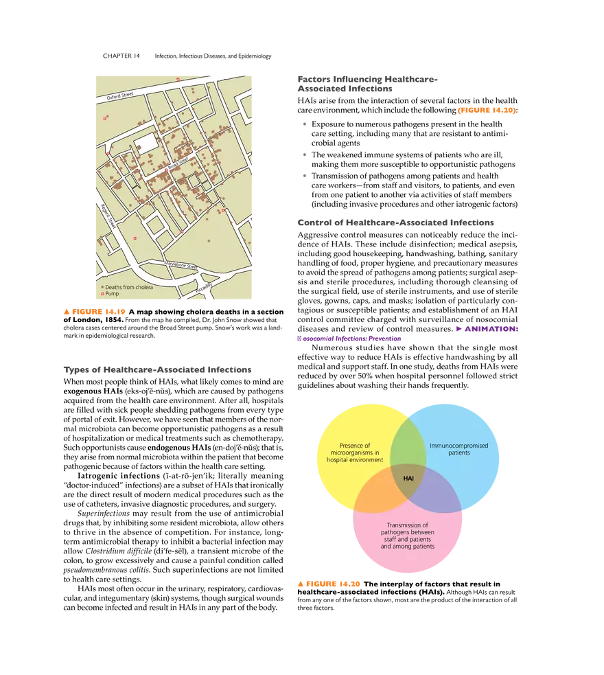 Infection, Infectious Disease, and Epidemiology - Page 19