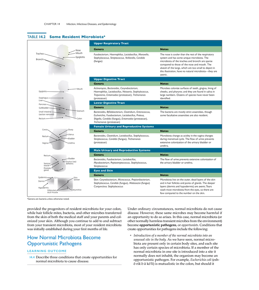Infection, Infectious Disease, and Epidemiology - Page 24