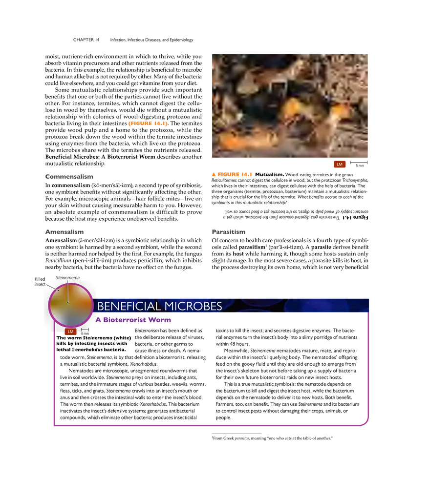 Infection, Infectious Disease, and Epidemiology - Page 2