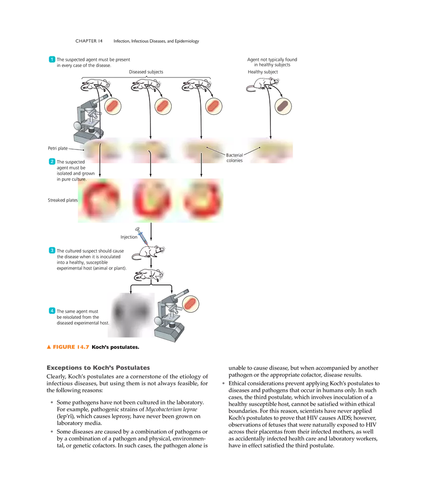 Infection, Infectious Disease, and Epidemiology - Page 4