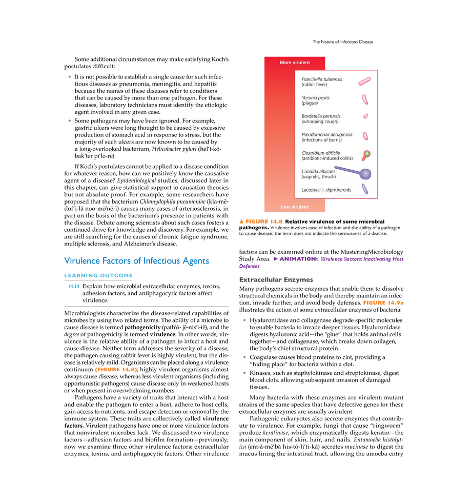 Infection, Infectious Disease, and Epidemiology - Page 5