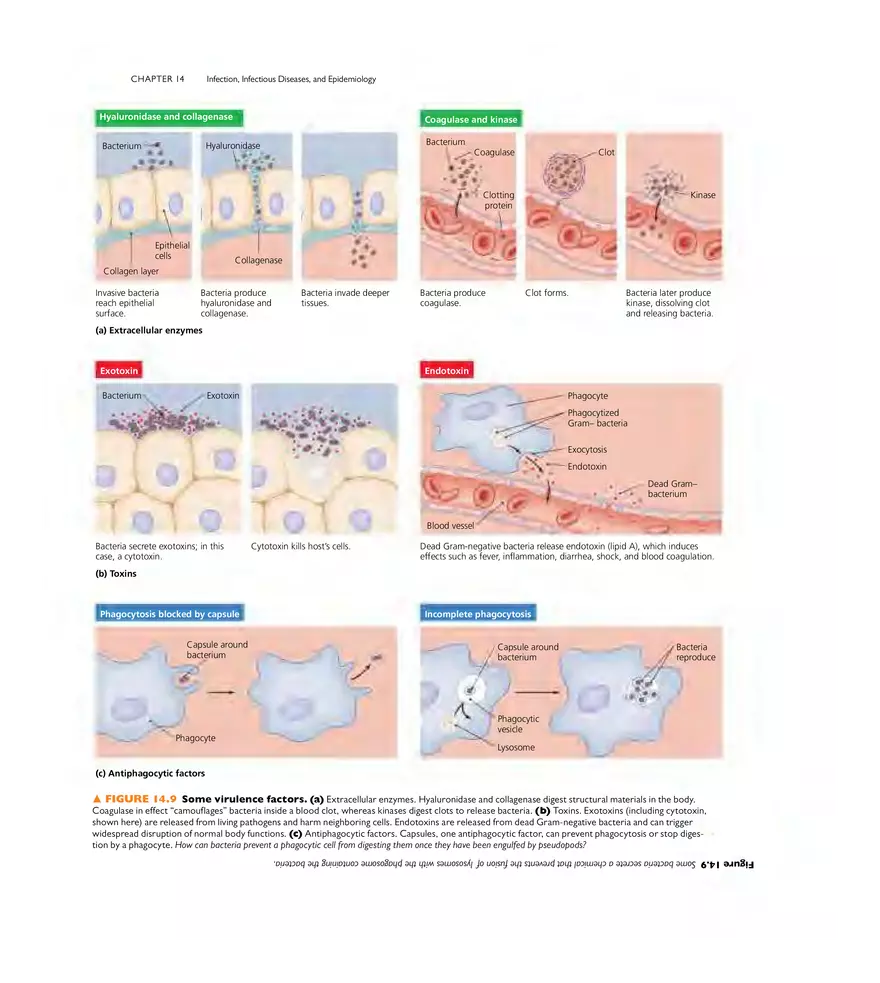Infection, Infectious Disease, and Epidemiology - Page 6