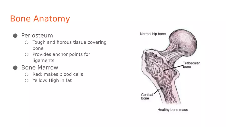 Unit 2 Skeletal System - Page 20