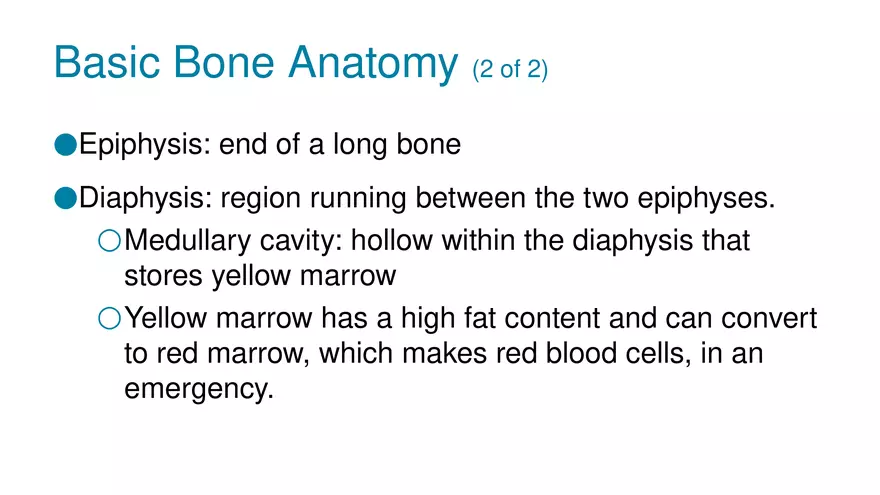 Unit 2 Skeletal System - Page 33