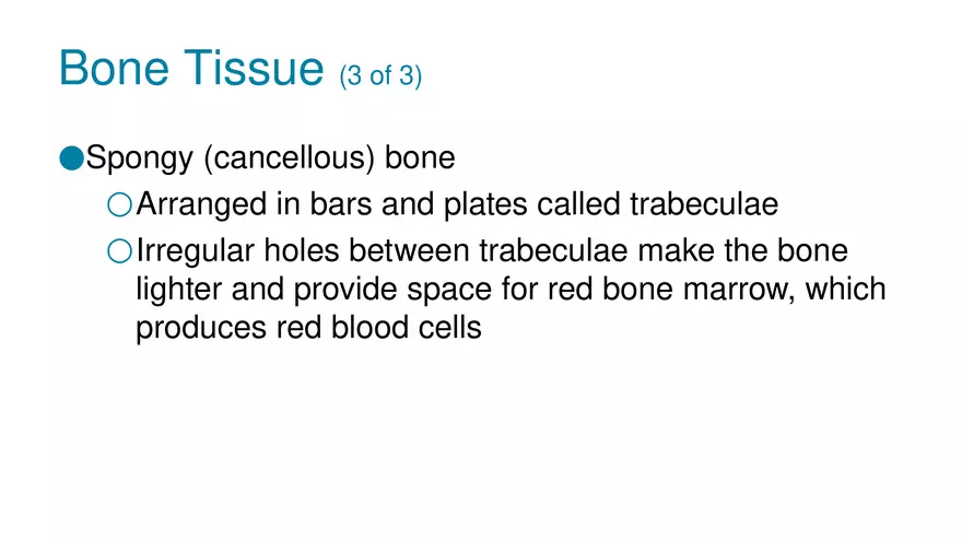 Unit 2 Skeletal System - Page 3