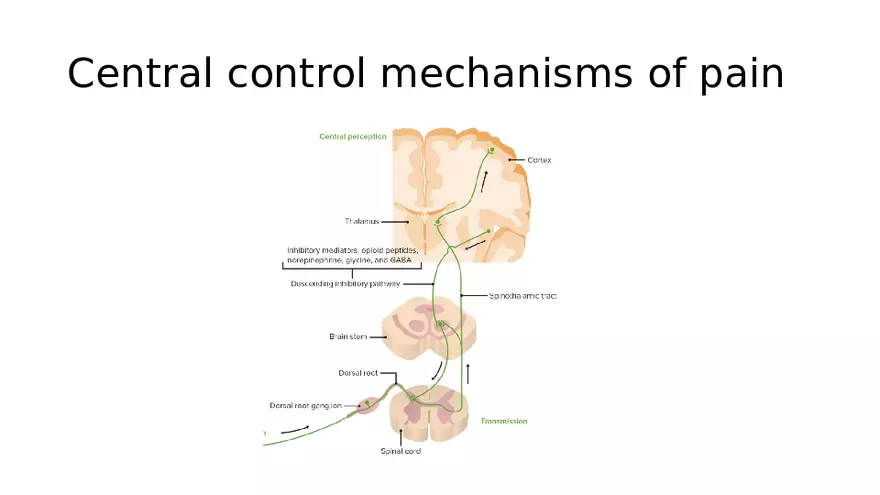 Pain Psychology - Page 9