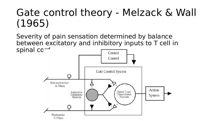 Pain Psychology - Page 11