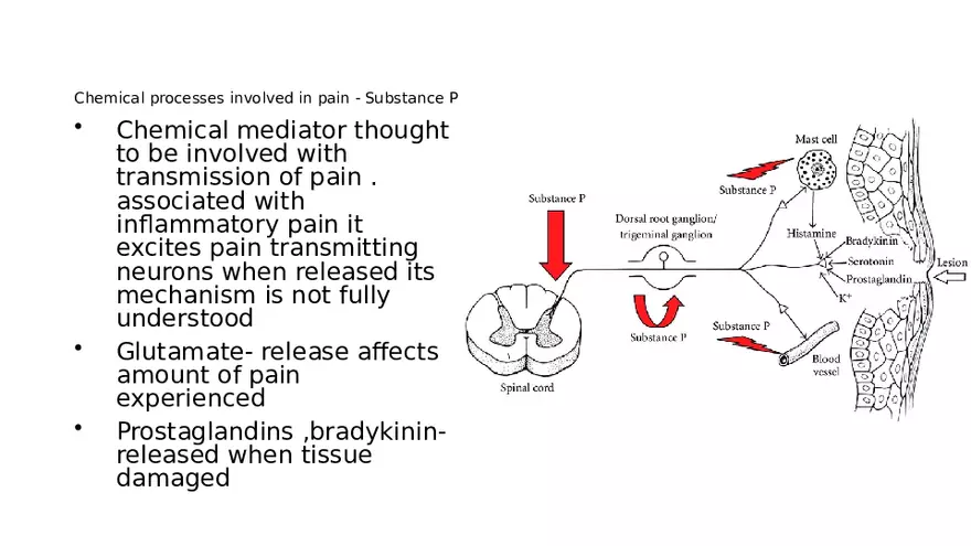 Pain Psychology - Page 14