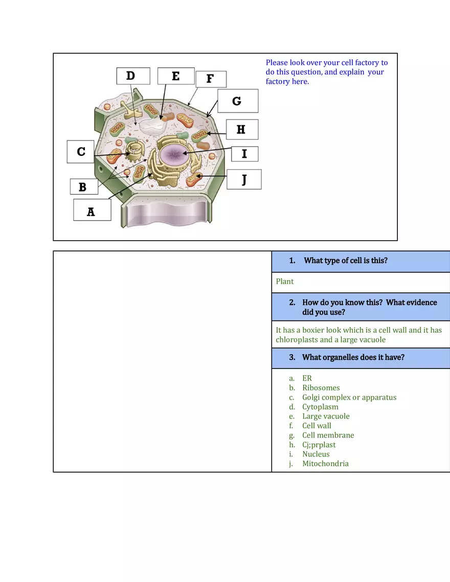 Review Sheet for Structure and Function of Cells and Cell Structures - Page 3