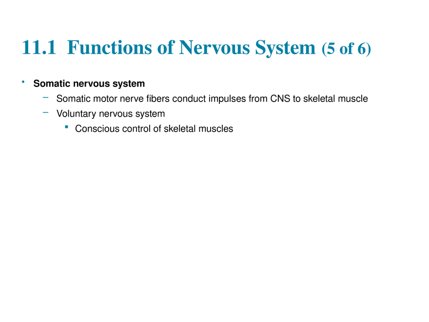 11.1 The Nervous System’s Functions - Page 7