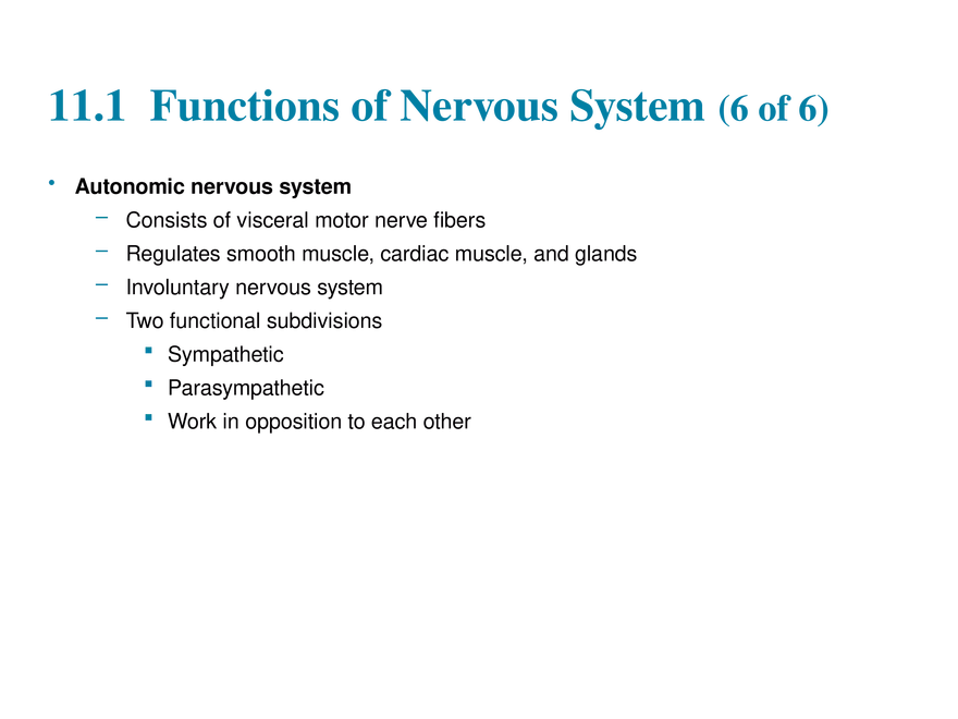 11.1 The Nervous System’s Functions - Page 8