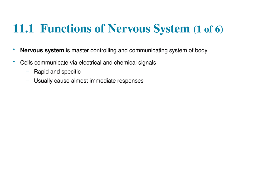 11.1 The Nervous System’s Functions - Page 1
