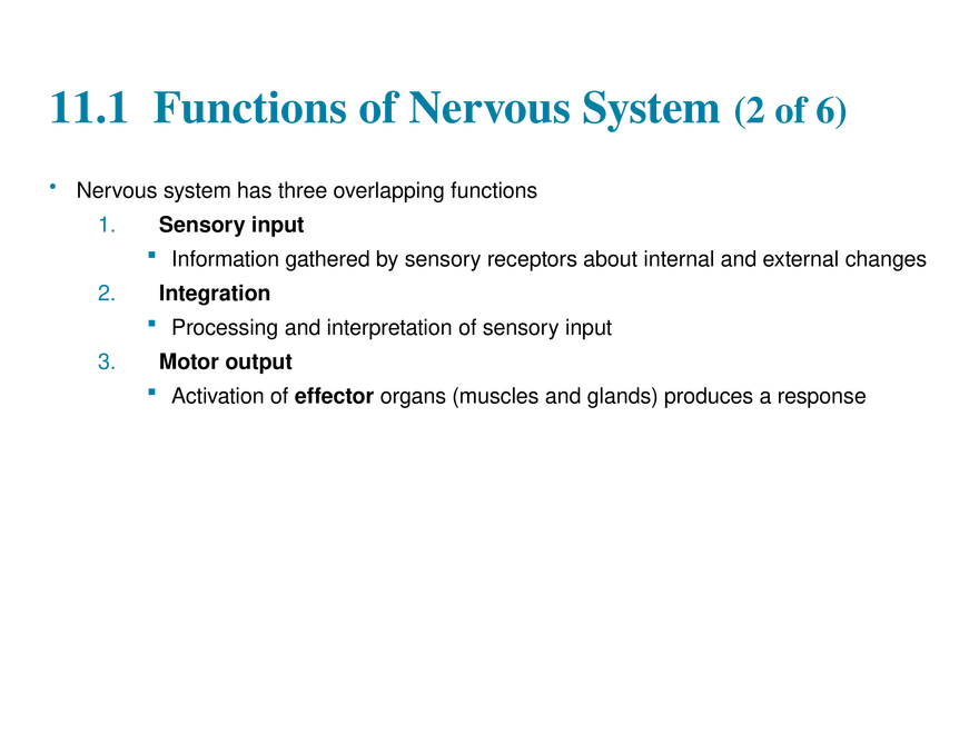 11.1 The Nervous System’s Functions - Page 2