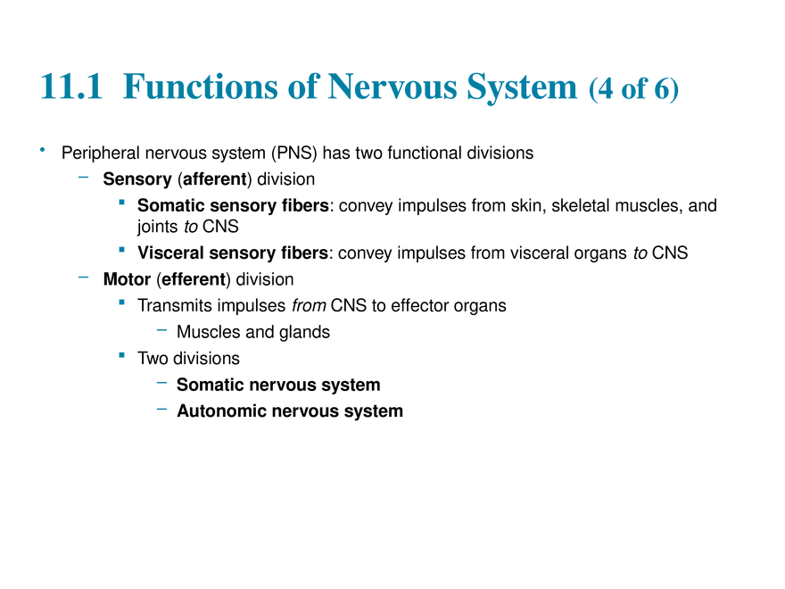 11.1 The Nervous System’s Functions - Page 6
