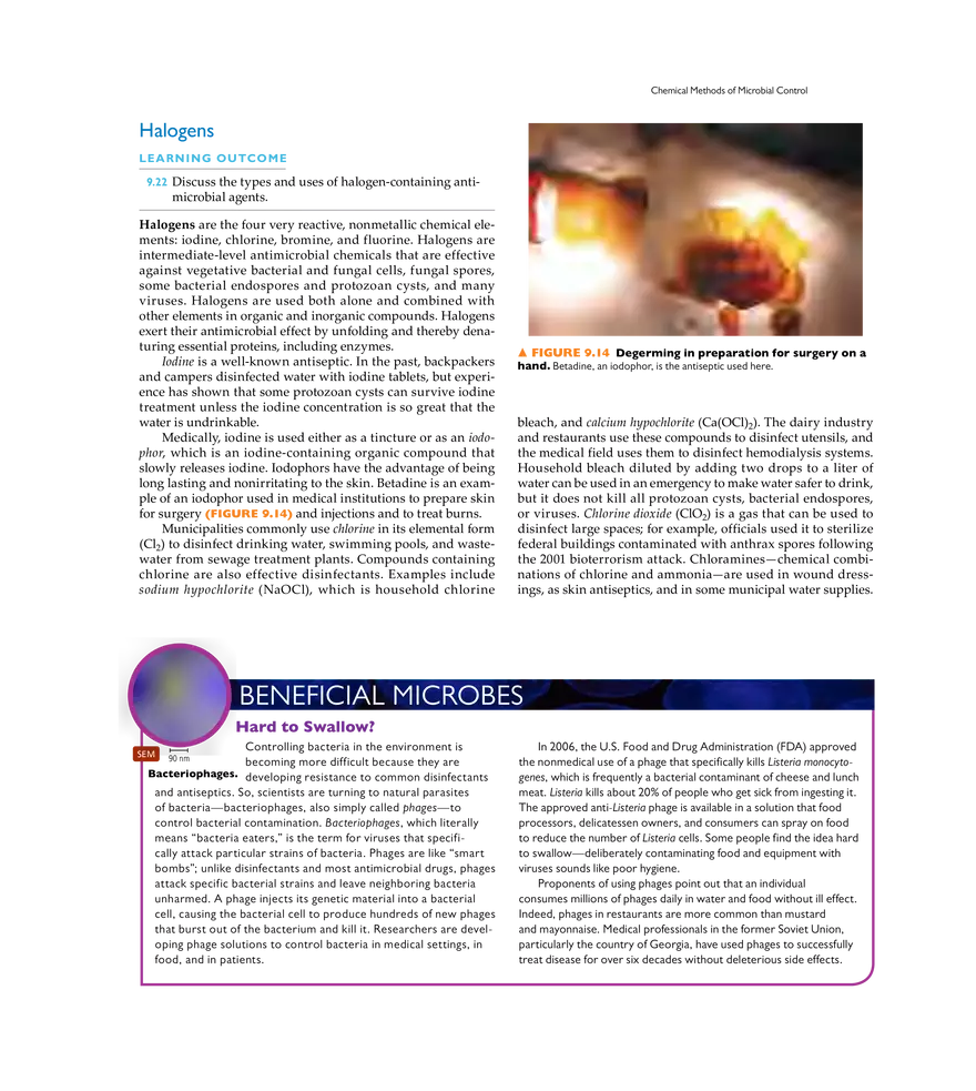 Controlling Microbial Growth in the Environment - Page 7