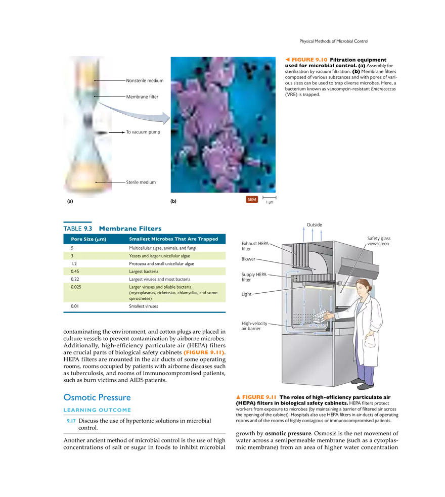 Controlling Microbial Growth in the Environment - Page 3