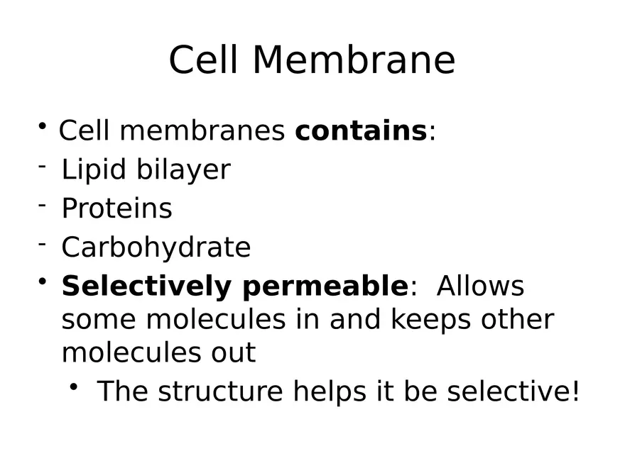 Transport Across Cell Membrane - Page 13