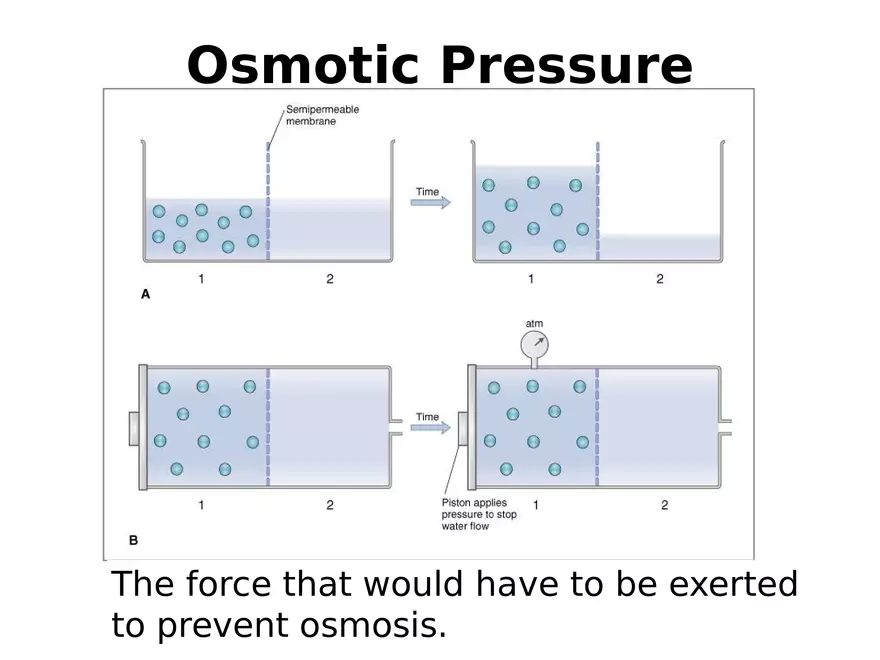 Transport Across Cell Membrane - Page 14