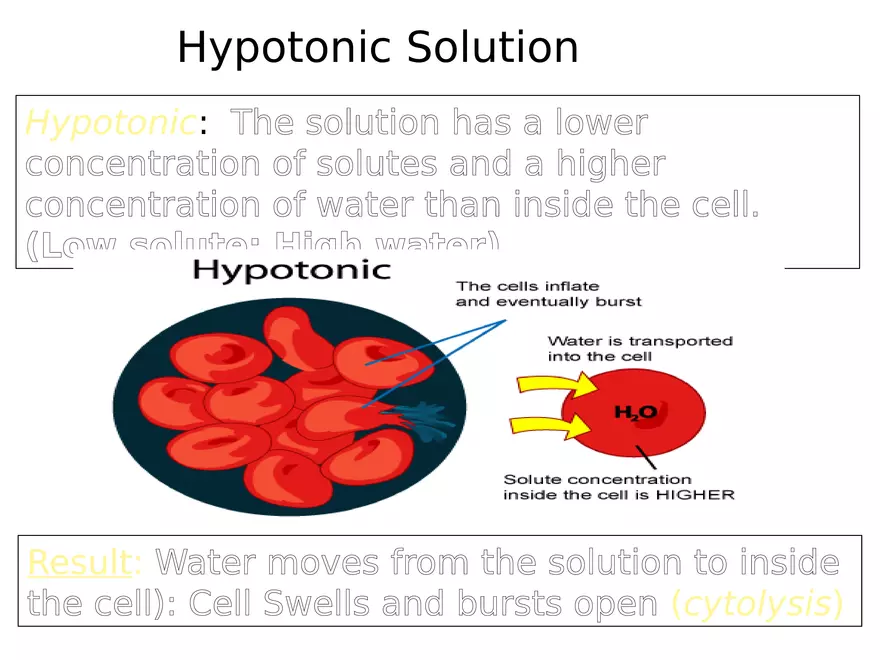 Transport Across Cell Membrane - Page 17