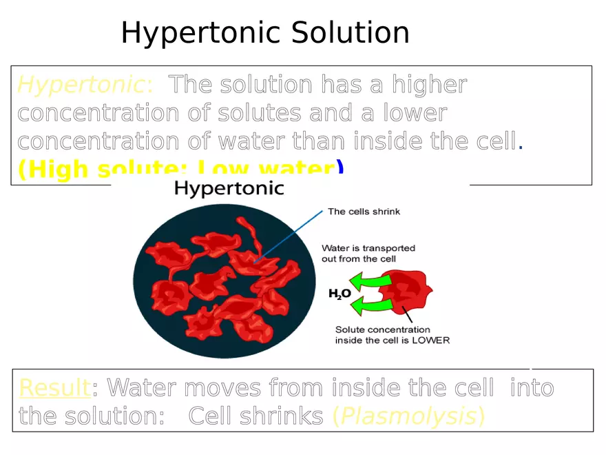 Transport Across Cell Membrane - Page 18