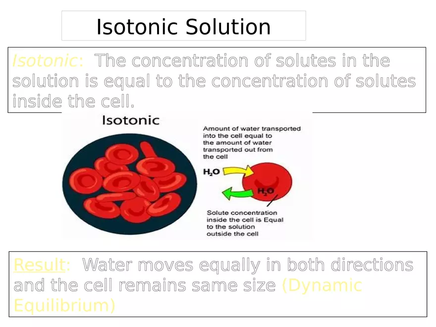 Transport Across Cell Membrane - Page 19