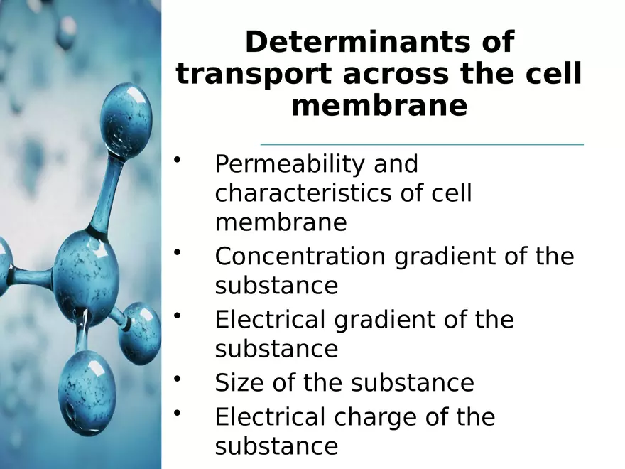 Transport Across Cell Membrane - Page 24