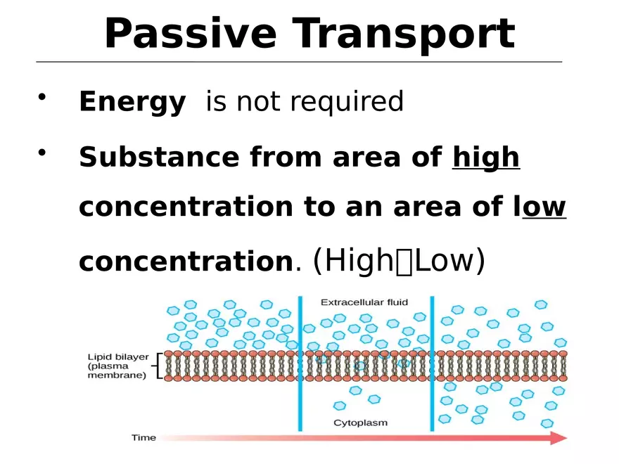 Transport Across Cell Membrane - Page 26