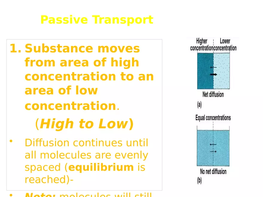 Transport Across Cell Membrane - Page 27