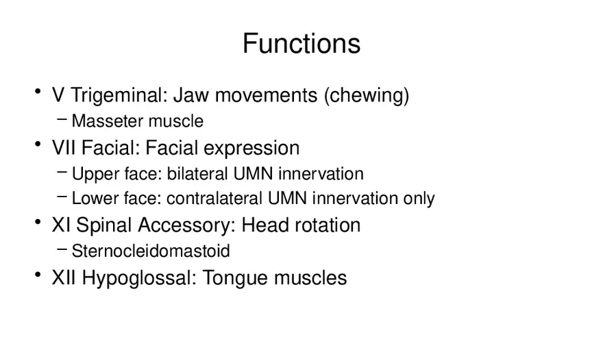 Spinal Cord - Page 97