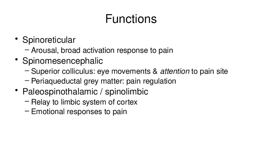 Spinal Cord - Page 8