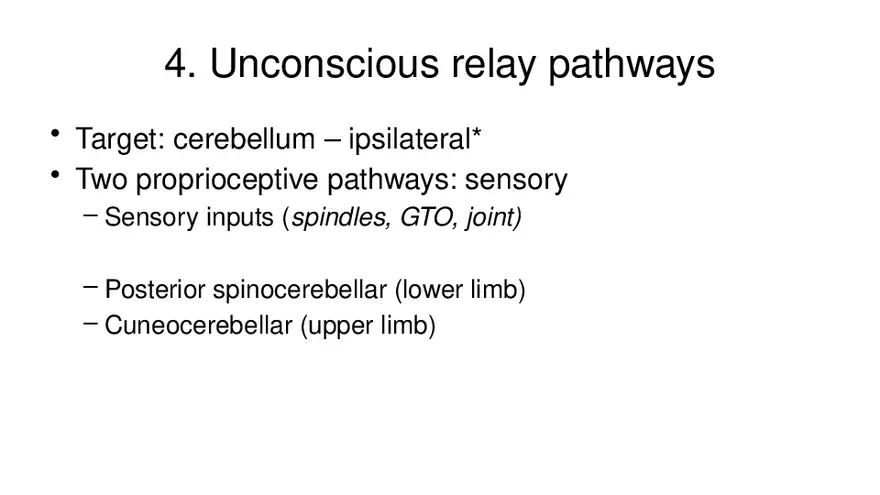 Spinal Cord - Page 10