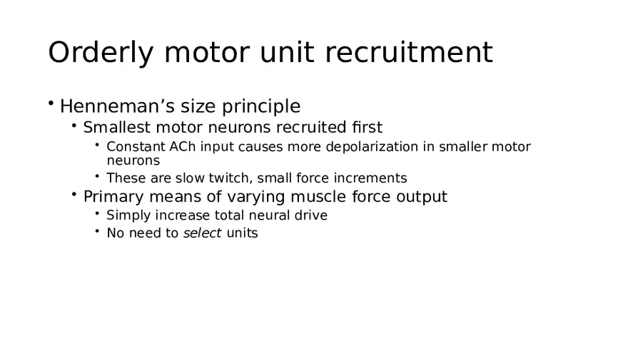 Spinal Cord - Page 28