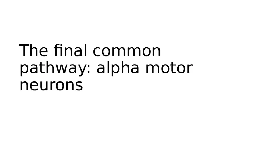 Spinal Cord - Page 30